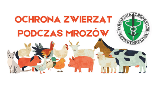 Zdjęcie artykułu z dnia 15-01-2026