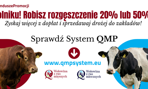 Zdjęcie artykułu z dnia 09-04-2026