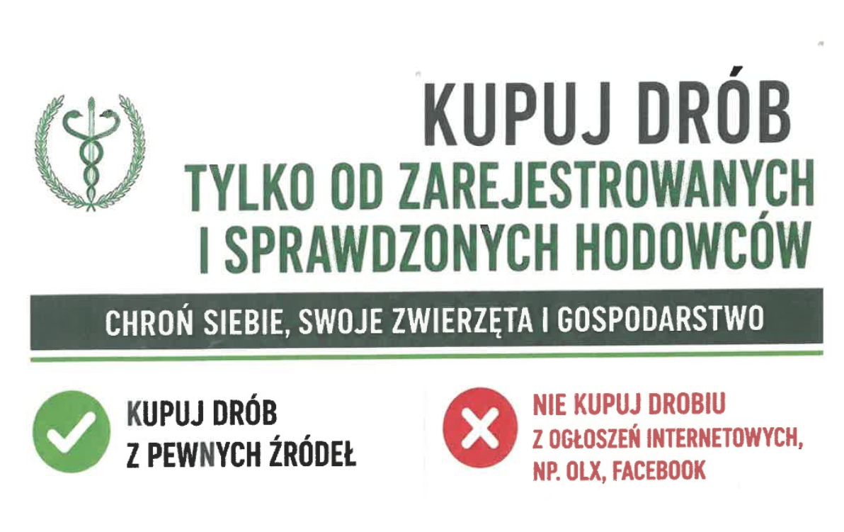 Zdjęcie artykułu z dnia 07-08-2026
