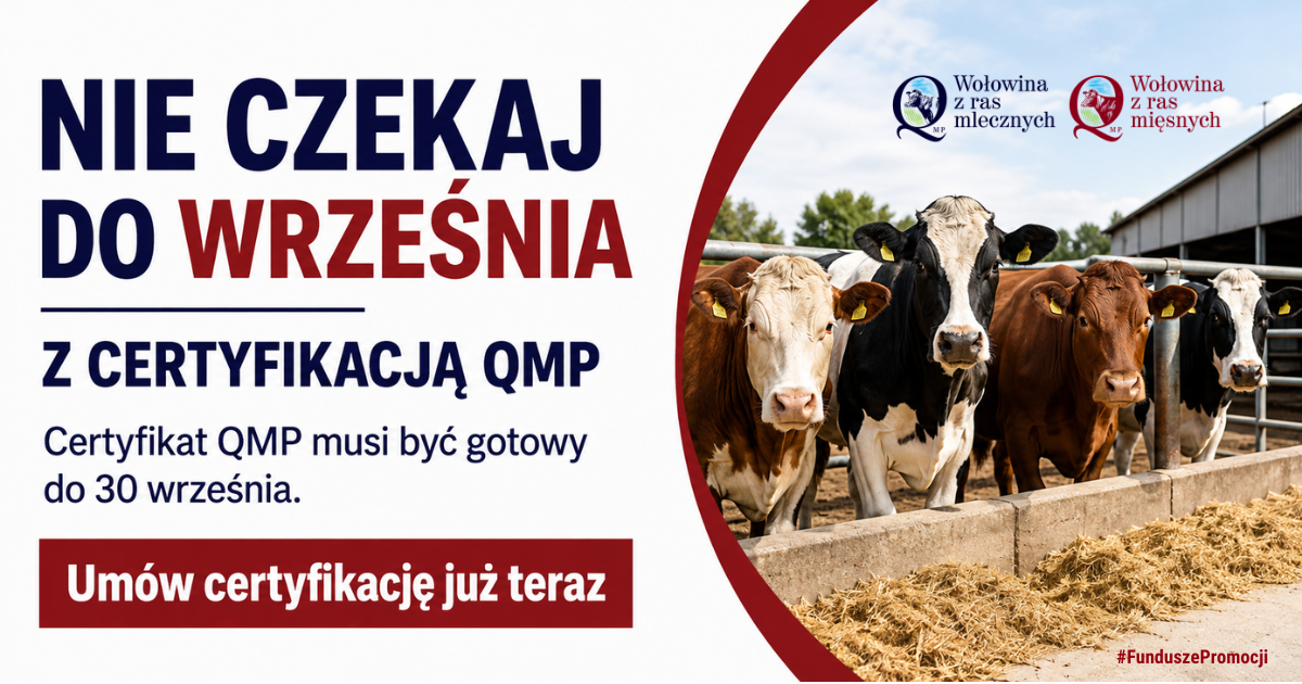 Zdjęcie artykułu z dnia 10-08-2026